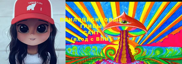 мдпв Богданович
