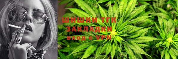 твердый Богородицк