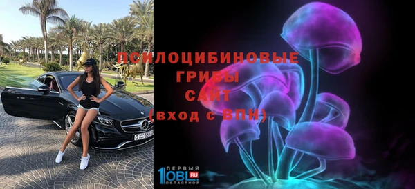 мдпв Богданович