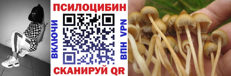 Галлюциногенные грибы прущие грибы Владимир